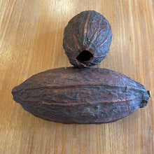 Carica l&#39;immagine nel visualizzatore di Gallery, Cacao pods

