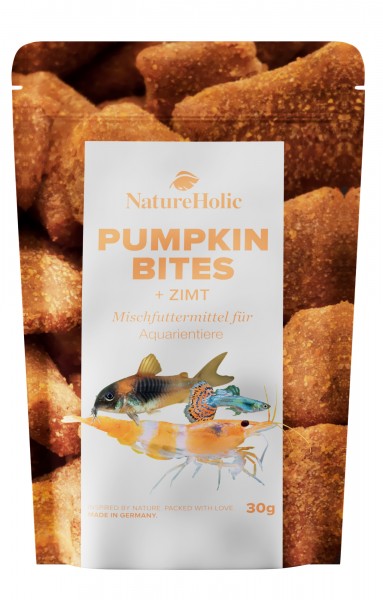 Pumpkin Cinnamon Bites - NatureHolic